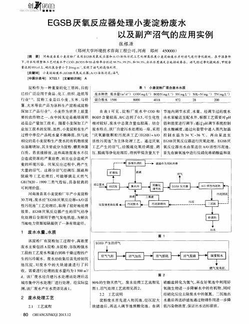 EGSB厌氧反应器处理小麦淀粉废水以及副产沼气的应用实例