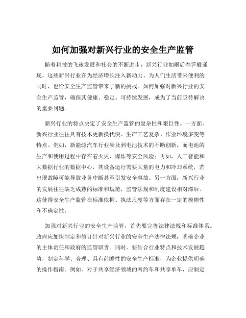 如何加强对新兴行业的安全生产监管