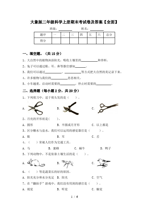 大象版二年级科学上册期末考试卷及答案【全面】