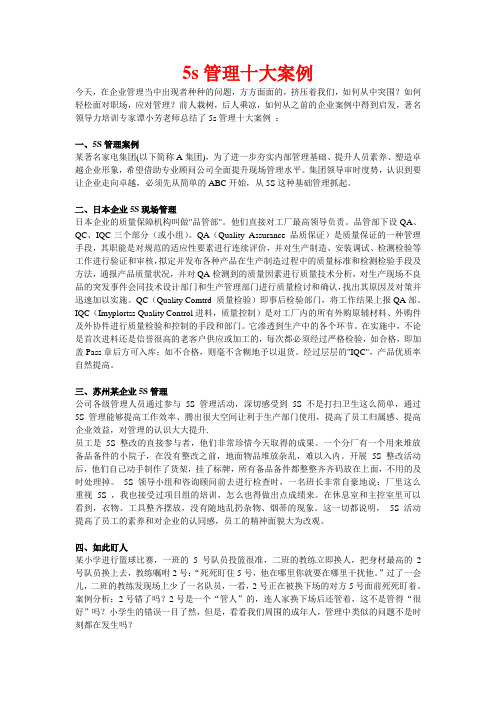 5s管理十大案例