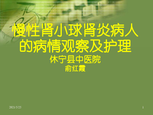 慢性肾小球肾炎护理PPT优秀课件
