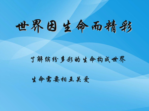 世界因生命而精彩ppt优秀课件11 人教版