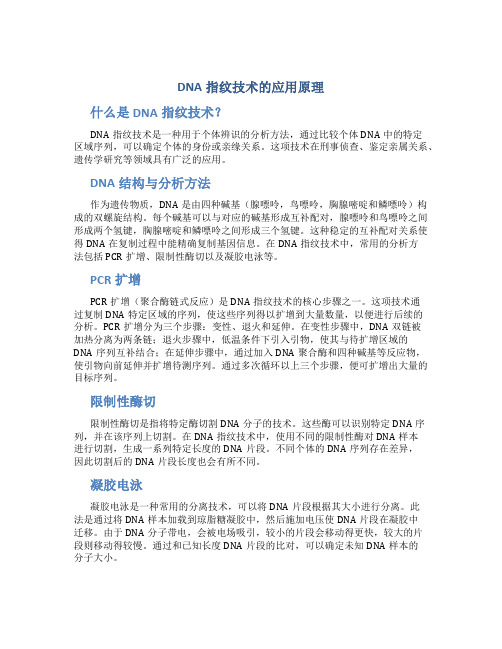 dna指纹技术的应用原理