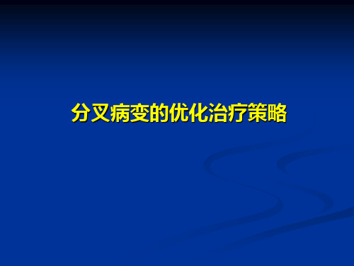 分叉病变的预处理和优化治疗策略_1015Copy