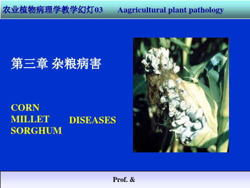 5农业植物病理学杂粮病害