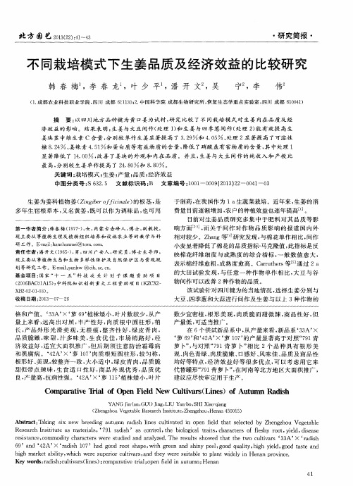 不同栽培模式下生姜品质及经济效益的比较研究