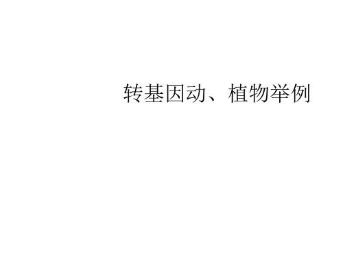 人教版初中生物八年级下册 第七单元 生物圈中的生命的延续和发展 第二章 拓展资料：转基因动、植物举例