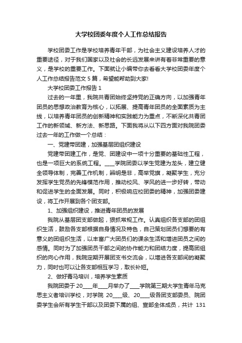 大学校团委年度个人工作总结报告