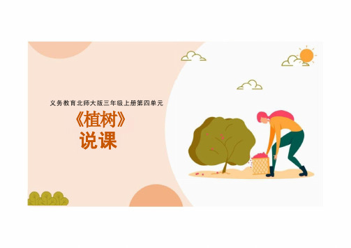 小学数学北师大版(2024)三年级上《植树》说课课件