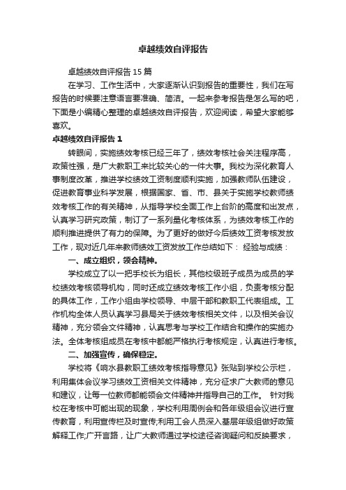 卓越绩效自评报告15篇