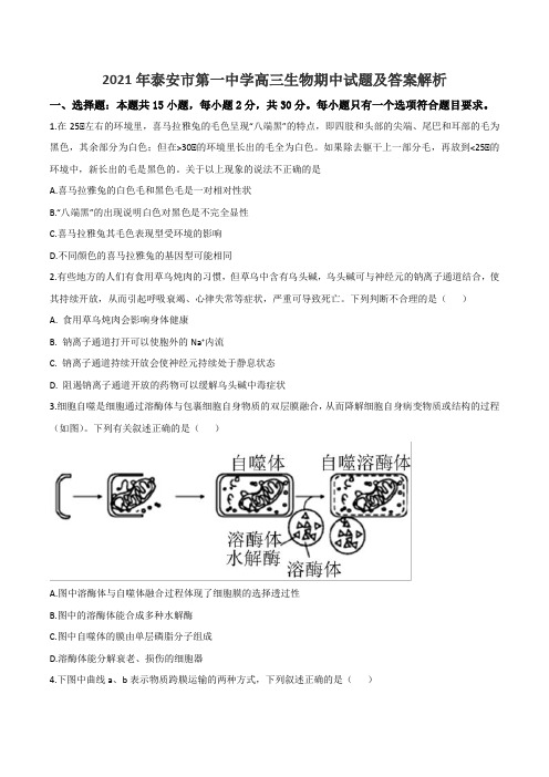 2021年泰安市第一中学高三生物期中试题及答案解析