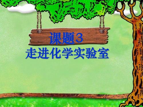 化学九年级上册第二单元课题3走进化学实验室