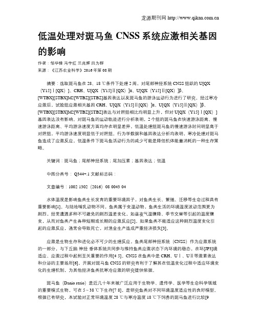 低温处理对斑马鱼CNSS系统应激相关基因的影响