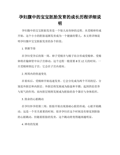 孕妇腹中的宝宝胚胎发育的成长历程详细说明