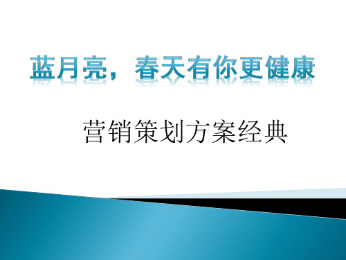 经典版蓝月亮品牌研究报告及品牌推广方案