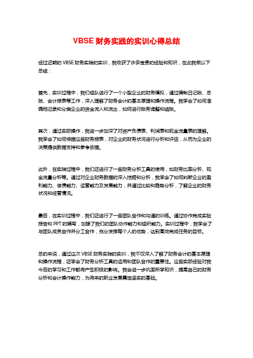 VBSE财务实践的实训心得总结