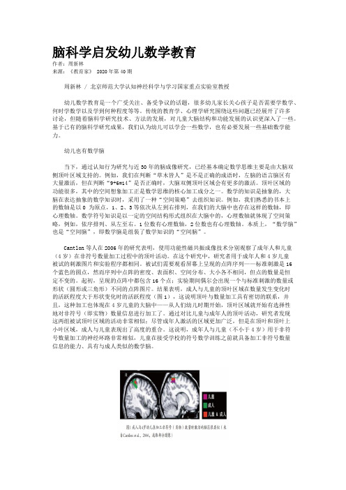脑科学启发幼儿数学教育