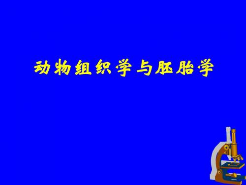 动物组织学与胚胎学绪论.