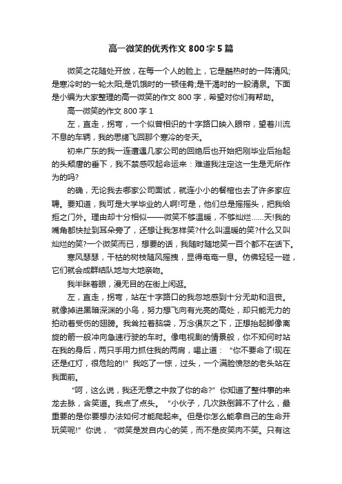 高一微笑的优秀作文800字5篇