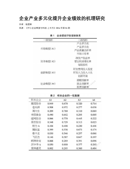 企业产业多元化提升企业绩效的机理研究  