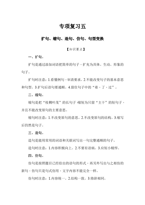 028.(精品文档)最新部编版六年级语文小升初专项测试卷5-扩句、缩句、造句、仿句、句型变换