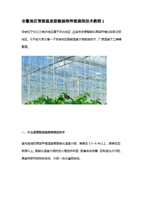 安徽地区智能温室甜椒栽培种植栽培技术教程1