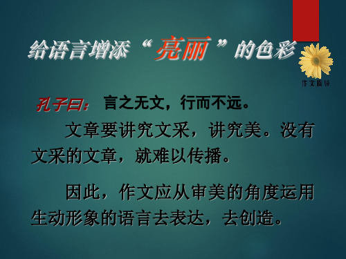 中考作文专题辅导课件：给语言增添“ 亮丽 ”的色彩