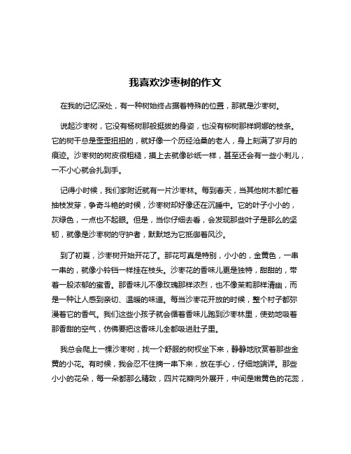 我喜欢沙枣树的作文