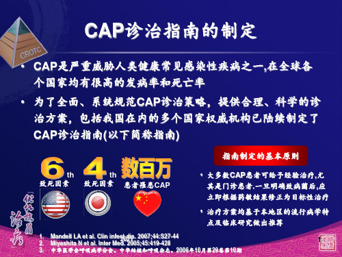 CAPPPT课件