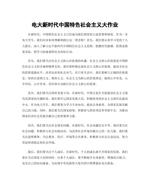 电大新时代中国特色社会主义大作业