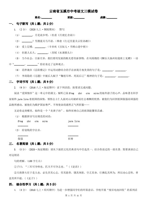 云南省玉溪市中考语文三模试卷