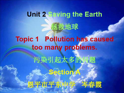 英语仁爱版九年级上册《Unit 2 Saving the Earth Topic 1 Poll 》课件公开课 (10)