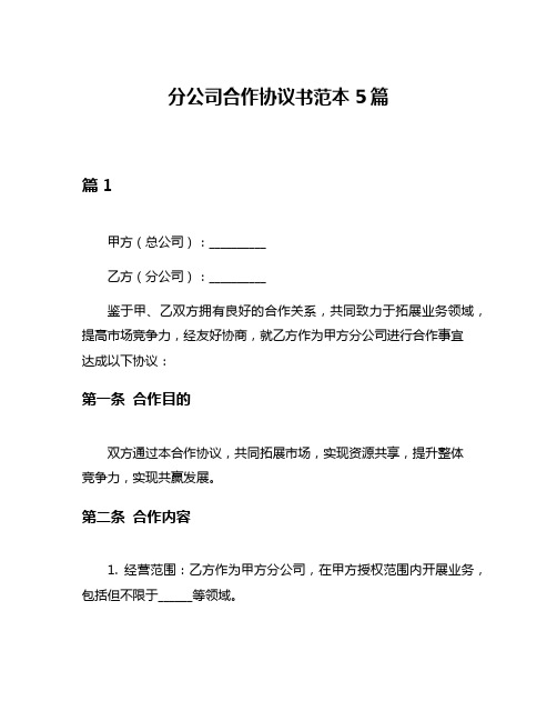 分公司合作协议书范本5篇