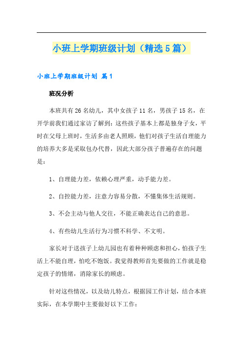 小班上学期班级计划(精选5篇)