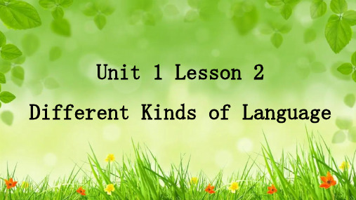 北师大版英语九年级全册 Unit 1 Lesson 2 课件