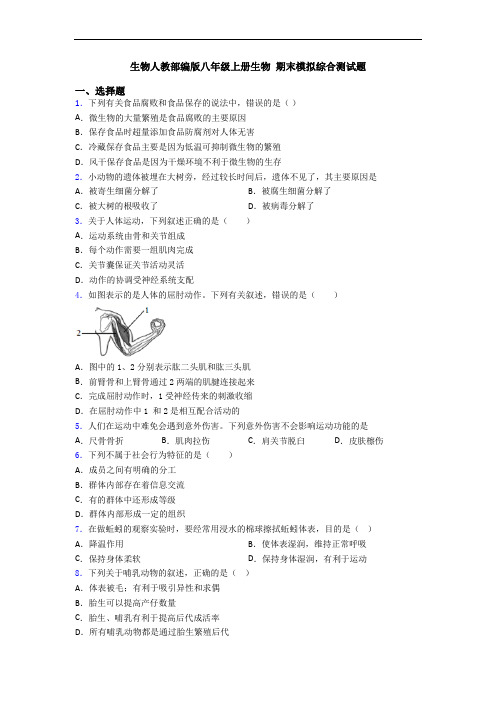 生物人教部编版八年级上册生物 期末模拟综合测试题