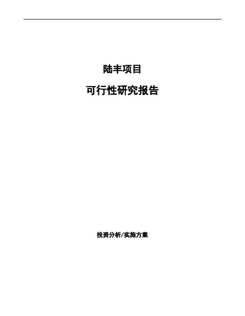 陆丰项目可行性研究报告如何编写