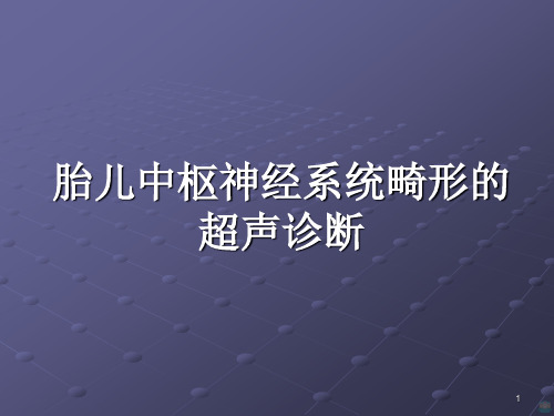 胎儿神经系统畸形的超声诊断PPT课件