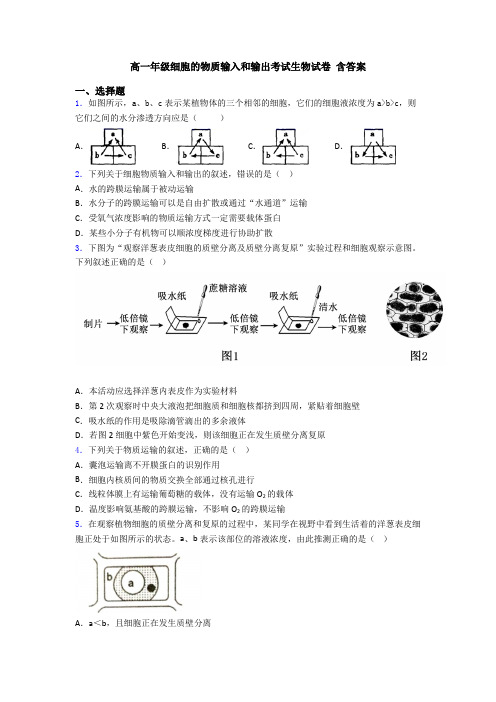 高一年级细胞的物质输入和输出考试生物试卷 含答案