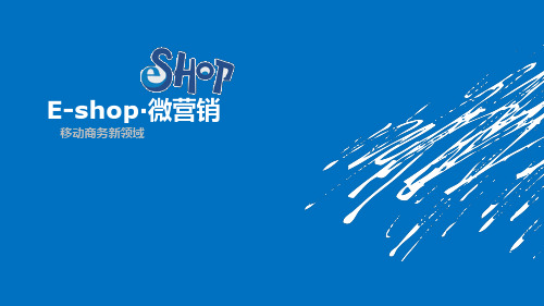 E-shop培训产品版