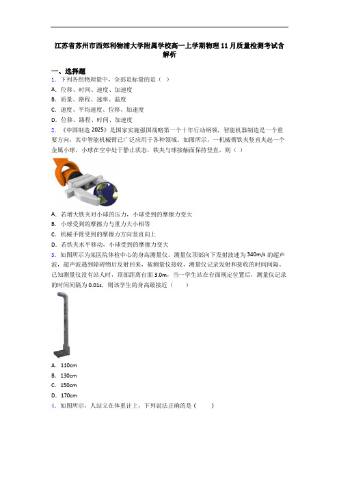 江苏省苏州市西郊利物浦大学附属学校高一上学期物理11月质量检测考试含解析