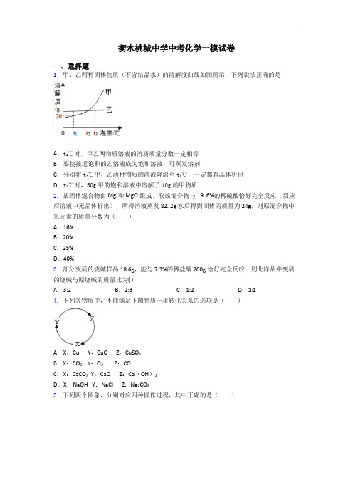 衡水桃城中学中考化学一模试卷