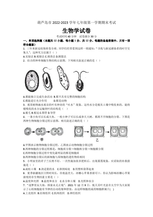 辽宁省葫芦岛市2022-2023学年七年级上学期期末生物试题