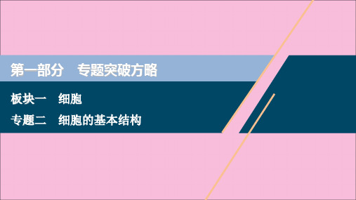 (新高考)2022高考生物二轮复习 第一部分 专题突破方略 板块一 细胞 专题二 细胞的基本结构课件