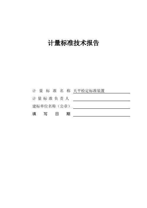 天平检定装置技术报告