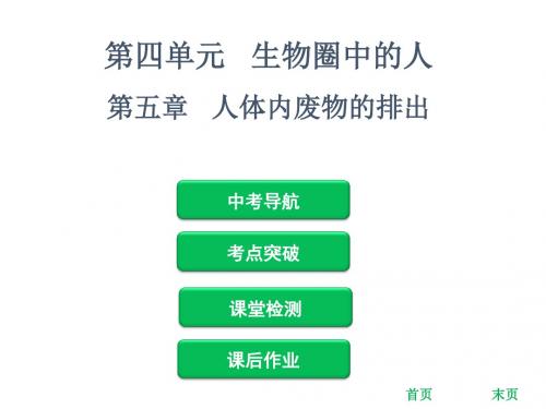 2019年中考生物复习课件:第四单元 第五章 人体内废物的排出(共56张PPT)