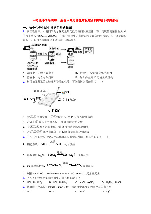 中考化学专项训练：生活中常见的盐培优综合训练题含答案解析