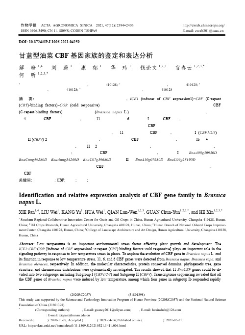 甘蓝型油菜CBF基因家族的鉴定和表达分析