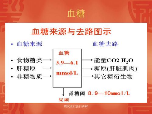 糖化血红蛋白讲解 ppt课件