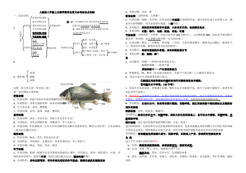 人教版-八年级生物上册期末知识点总结